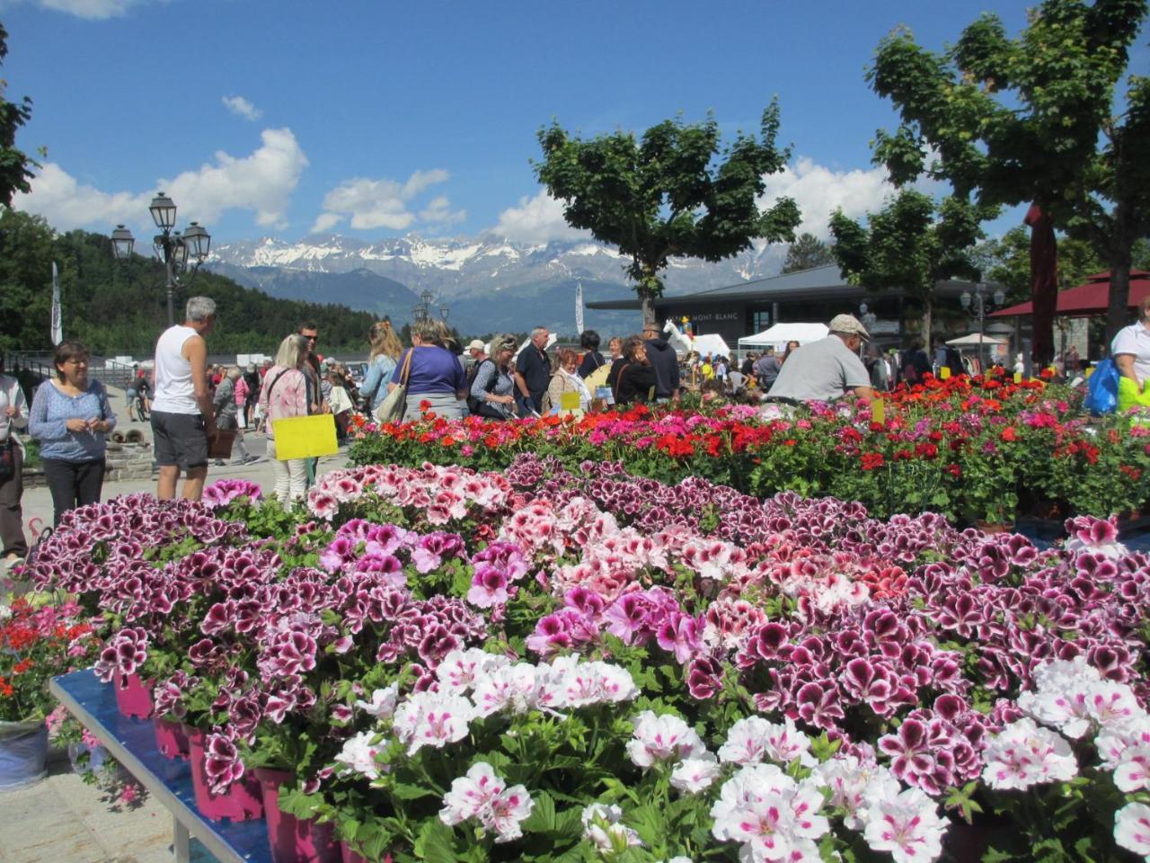 Le Grand Panorama No11 Daire Saint-Gervais-les-Bains Dış mekan fotoğraf